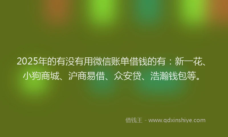 2025年的有没有用微信账单借钱的有：新一花、小狗商城、沪商易借、众安贷、浩瀚钱包等。