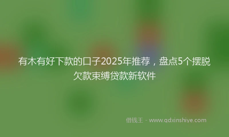 有木有好下款的口子2025年推荐，盘点5个摆脱欠款束缚贷款新软件