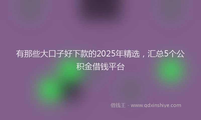 有那些大口子好下款的2025年精选，汇总5个公积金借钱平台
