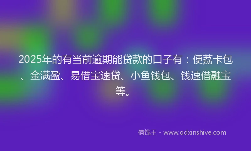 2025年的有当前逾期能贷款的口子有：便荔卡包、金满盈、易借宝速贷、小鱼钱包、钱速借融宝等。