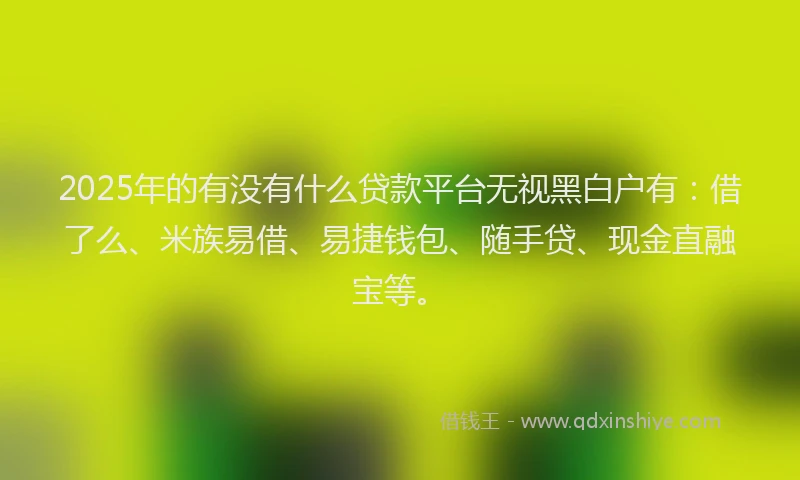 2025年的有没有什么贷款平台无视黑白户有：借了么、米族易借、易捷钱包、随手贷、现金直融宝等。