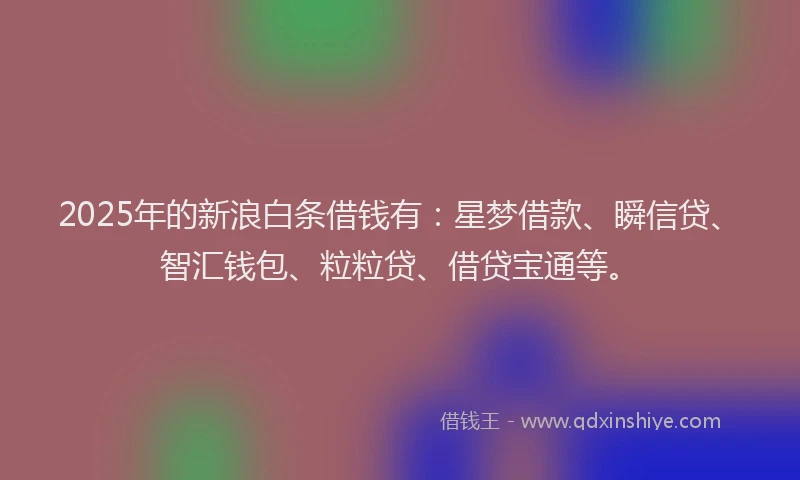 2025年的新浪白条借钱有：星梦借款、瞬信贷、智汇钱包、粒粒贷、借贷宝通等。
