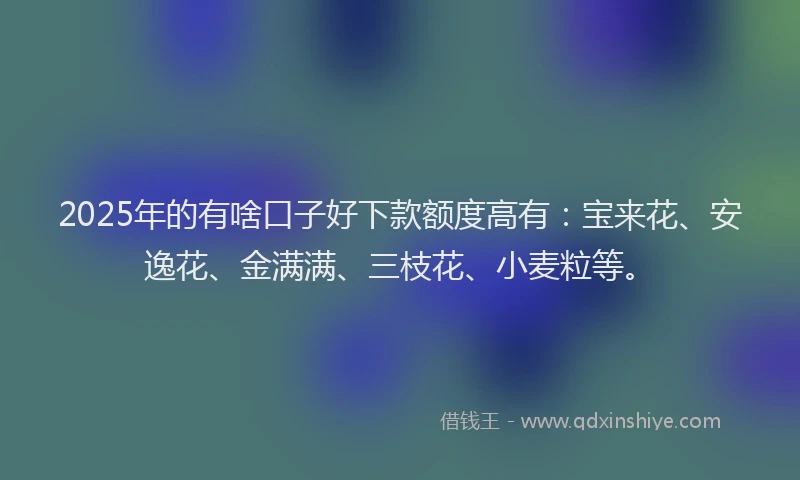 2025年的有啥口子好下款额度高有：宝来花、安逸花、金满满、三枝花、小麦粒等。