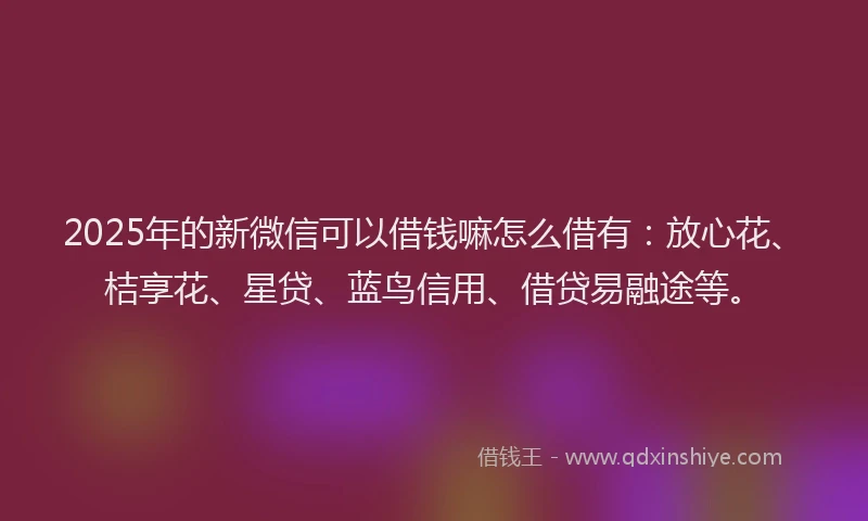 2025年的新微信可以借钱嘛怎么借有：放心花、桔享花、星贷、蓝鸟信用、借贷易融途等。