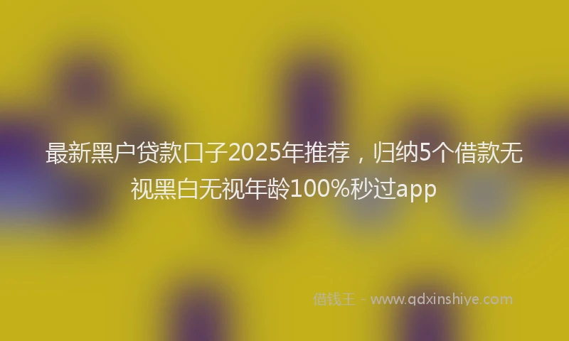最新黑户贷款口子2025年推荐，归纳5个借款无视黑白无视年龄100%秒过app