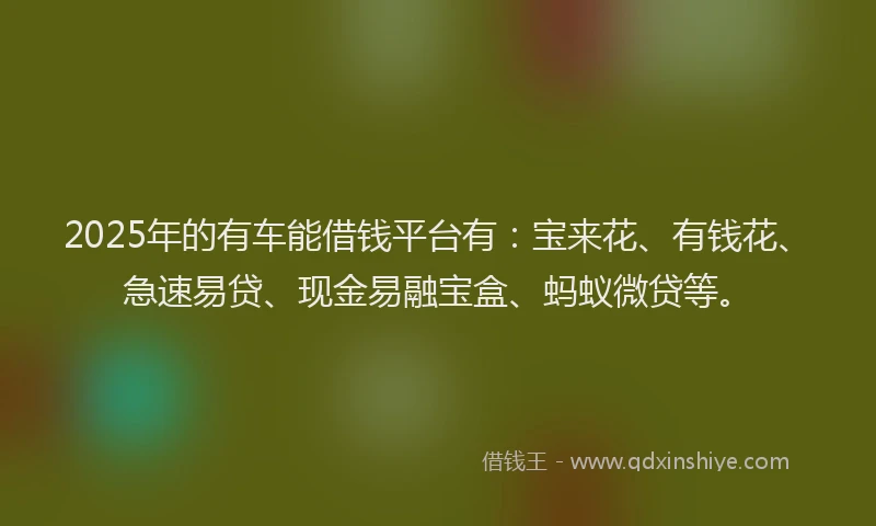2025年的有车能借钱平台有：宝来花、有钱花、急速易贷、现金易融宝盒、蚂蚁微贷等。