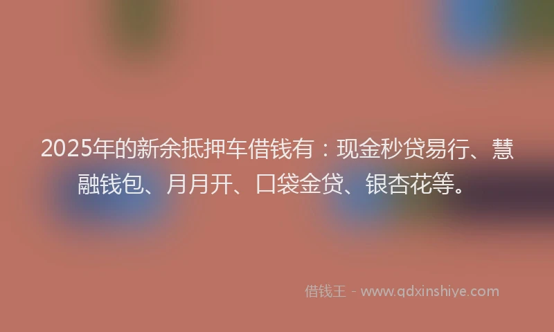 2025年的新余抵押车借钱有：现金秒贷易行、慧融钱包、月月开、口袋金贷、银杏花等。