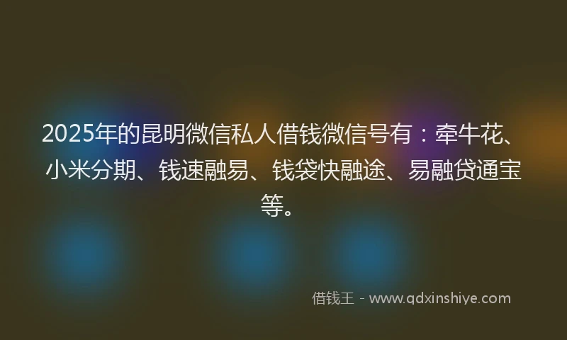 2025年的昆明微信私人借钱微信号有：牵牛花、小米分期、钱速融易、钱袋快融途、易融贷通宝等。