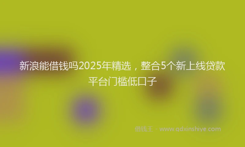新浪能借钱吗2025年精选，整合5个新上线贷款平台门槛低口子