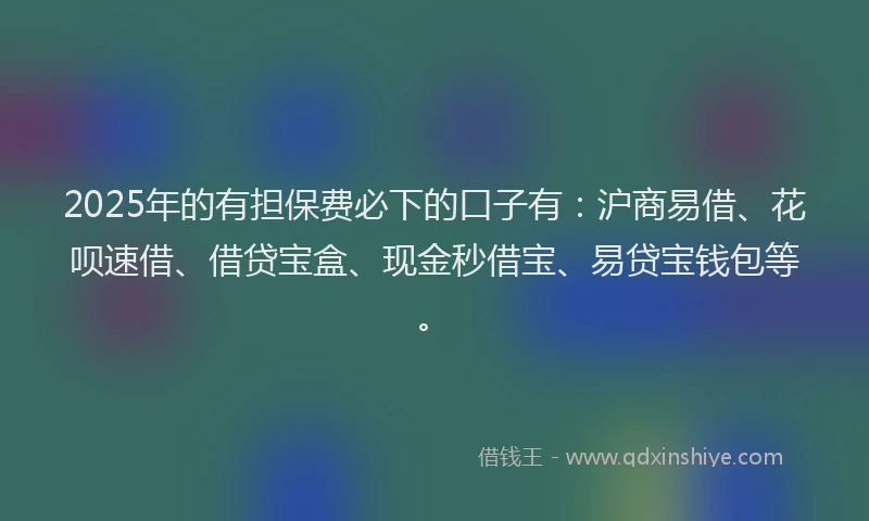 2025年的有担保费必下的口子有：沪商易借、花呗速借、借贷宝盒、现金秒借宝、易贷宝钱包等。
