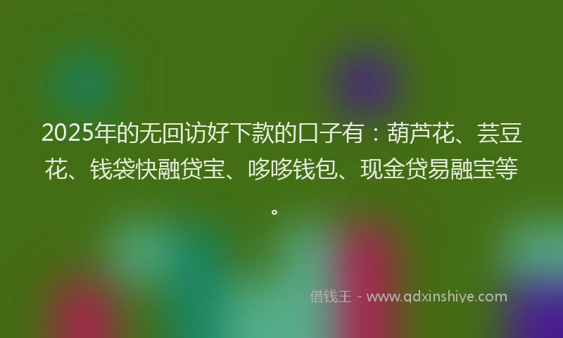 2025年的无回访好下款的口子有：葫芦花、芸豆花、钱袋快融贷宝、哆哆钱包、现金贷易融宝等。