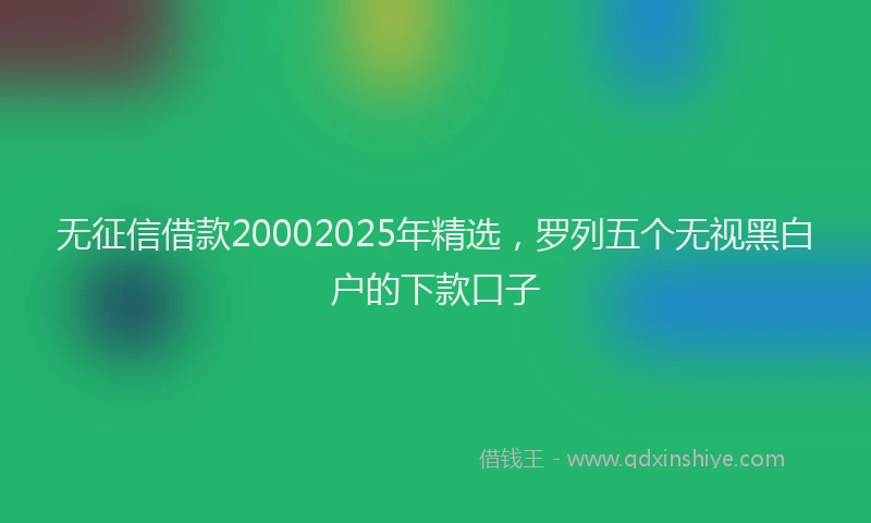 无征信借款20002025年精选，罗列五个无视黑白户的下款口子