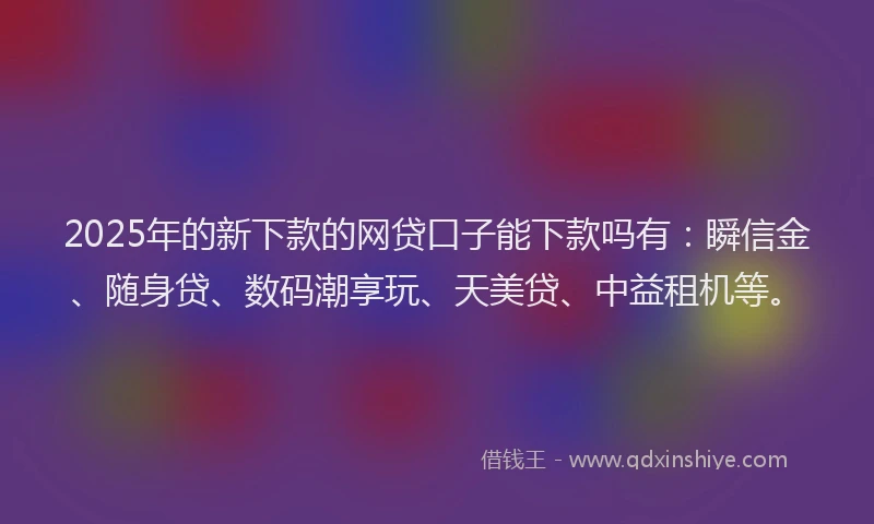 2025年的新下款的网贷口子能下款吗有：瞬信金、随身贷、数码潮享玩、天美贷、中益租机等。