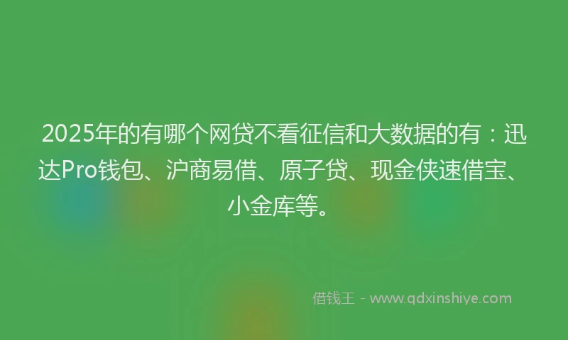 2025年的有哪个网贷不看征信和大数据的有：迅达Pro钱包、沪商易借、原子贷、现金侠速借宝、小金库等。