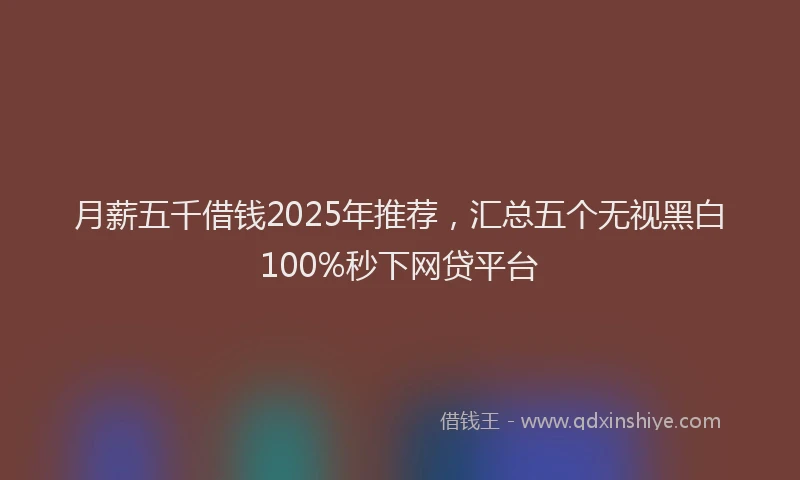 月薪五千借钱2025年推荐，汇总五个无视黑白100%秒下网贷平台