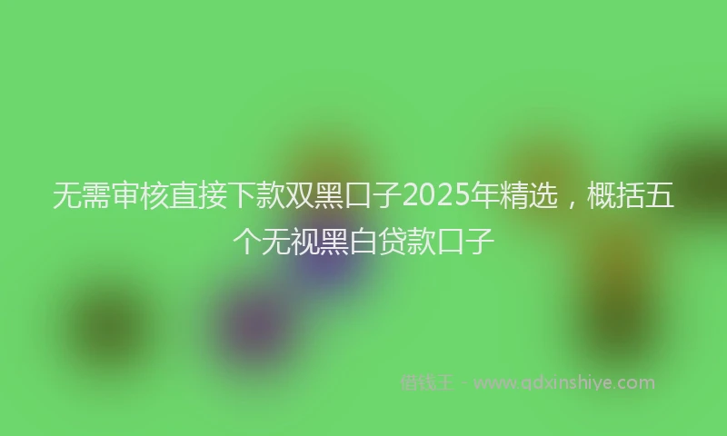 无需审核直接下款双黑口子2025年精选，概括五个无视黑白贷款口子