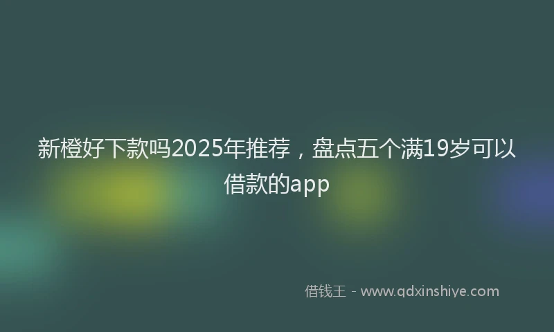 新橙好下款吗2025年推荐，盘点五个满19岁可以借款的app