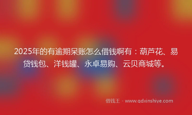2025年的有逾期呆账怎么借钱啊有：葫芦花、易贷钱包、洋钱罐、永卓易购、云贝商城等。