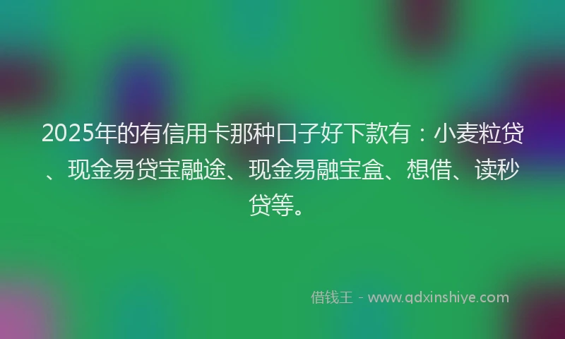 2025年的有信用卡那种口子好下款有：小麦粒贷、现金易贷宝融途、现金易融宝盒、想借、读秒贷等。