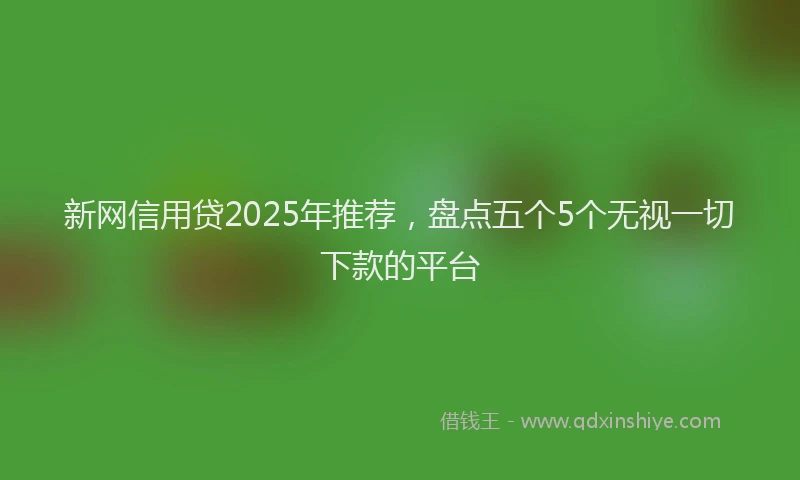 新网信用贷2025年推荐，盘点五个5个无视一切下款的平台