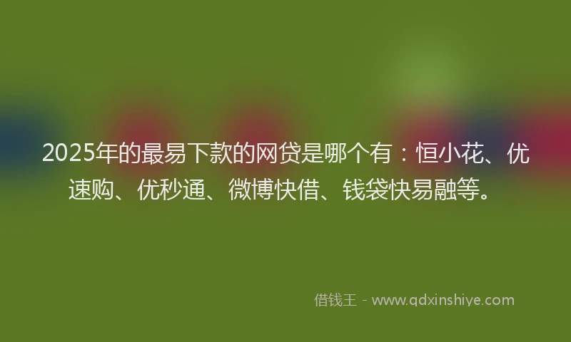 2025年的最易下款的网贷是哪个有：恒小花、优速购、优秒通、微博快借、钱袋快易融等。