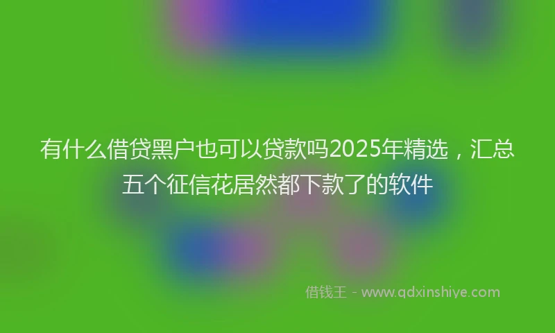 有什么借贷黑户也可以贷款吗2025年精选，汇总五个征信花居然都下款了的软件