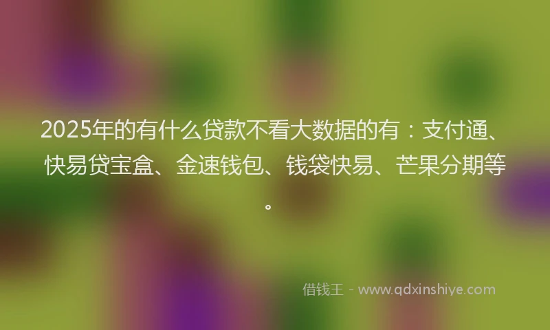 2025年的有什么贷款不看大数据的有：支付通、快易贷宝盒、金速钱包、钱袋快易、芒果分期等。
