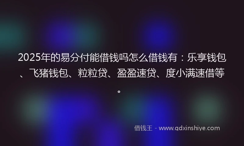 2025年的易分付能借钱吗怎么借钱有：乐享钱包、飞猪钱包、粒粒贷、盈盈速贷、度小满速借等。