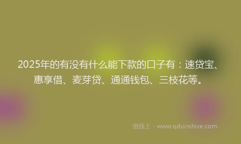 2025年的有没有什么能下款的口子有：速贷宝、惠享借、麦芽贷、通通钱包、三枝花等。