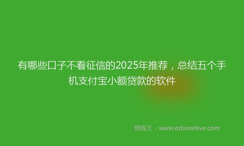 有哪些口子不看征信的2025年推荐，总结五个手机支付宝小额贷款的软件