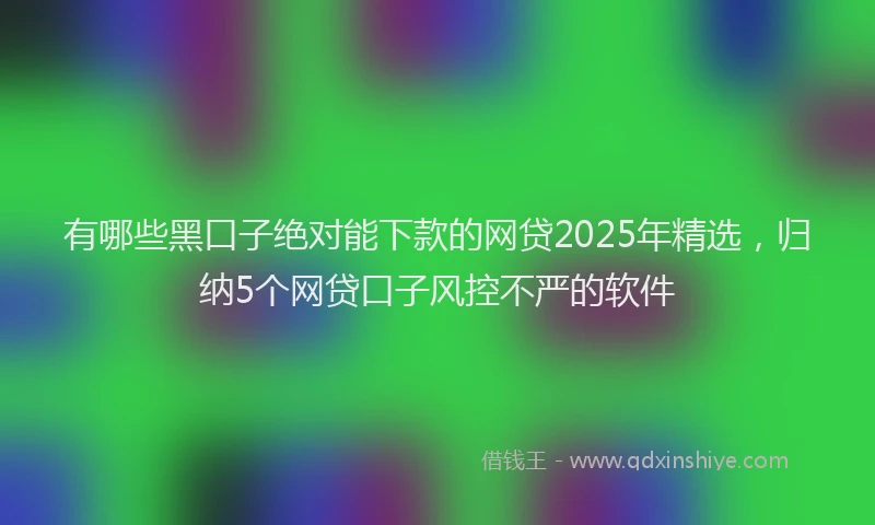 有哪些黑口子绝对能下款的网贷2025年精选，归纳5个网贷口子风控不严的软件