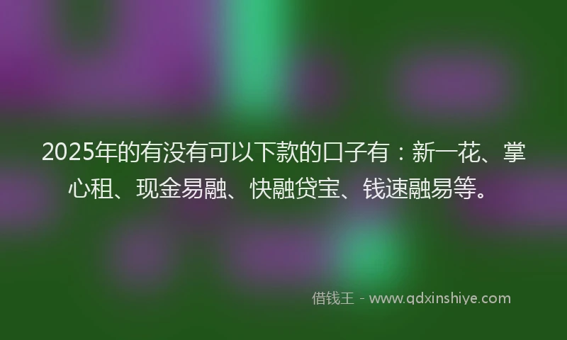 2025年的有没有可以下款的口子有：新一花、掌心租、现金易融、快融贷宝、钱速融易等。