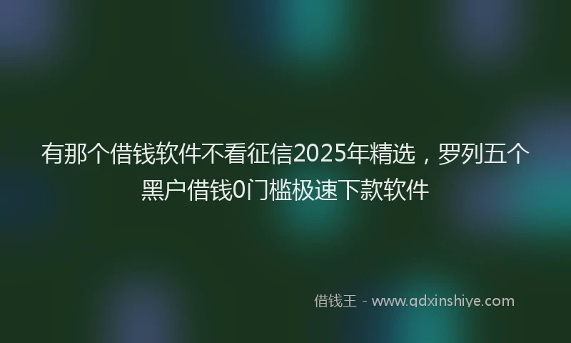 有那个借钱软件不看征信2025年精选，罗列五个黑户借钱0门槛极速下款软件