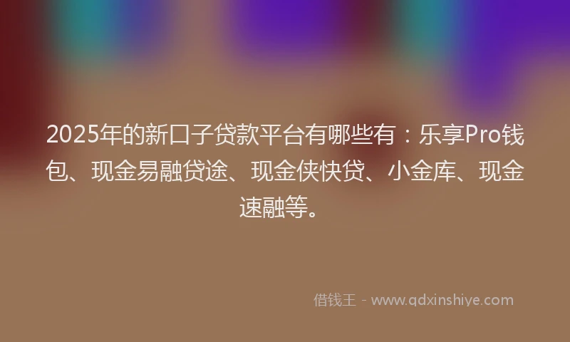 2025年的新口子贷款平台有哪些有：乐享Pro钱包、现金易融贷途、现金侠快贷、小金库、现金速融等。