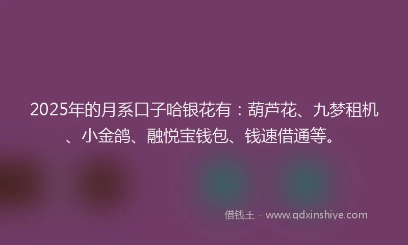 2025年的月系口子哈银花有：葫芦花、九梦租机、小金鸽、融悦宝钱包、钱速借通等。