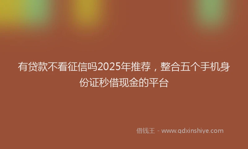 有贷款不看征信吗2025年推荐，整合五个手机身份证秒借现金的平台