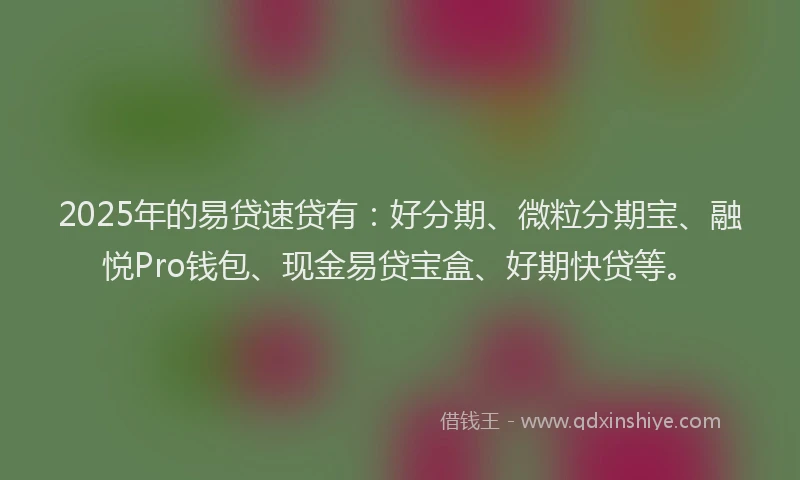 2025年的易贷速贷有：好分期、微粒分期宝、融悦Pro钱包、现金易贷宝盒、好期快贷等。