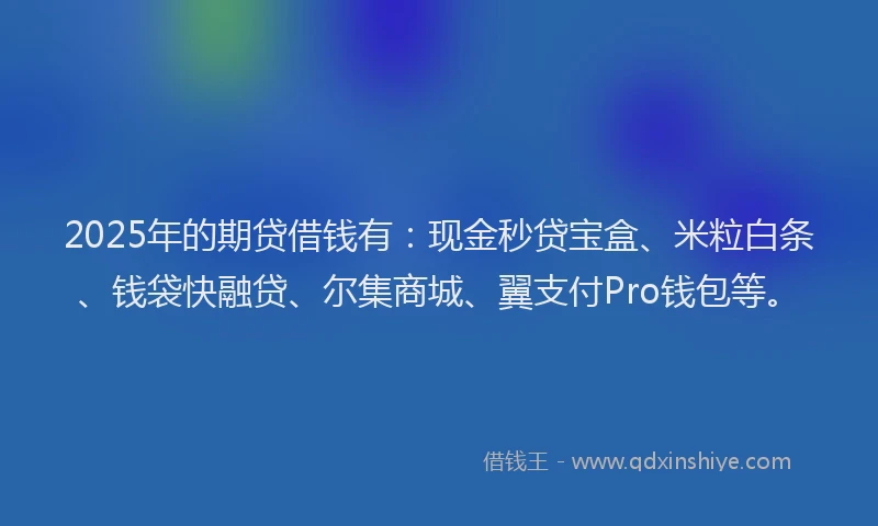 2025年的期贷借钱有：现金秒贷宝盒、米粒白条、钱袋快融贷、尔集商城、翼支付Pro钱包等。