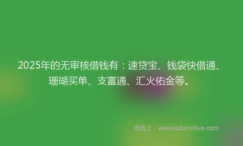 2025年的无审核借钱有：速贷宝、钱袋快借通、珊瑚买单、支富通、汇火佑金等。