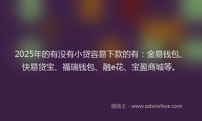 2025年的有没有小贷容易下款的有：金易钱包、快易贷宝、福瑞钱包、融e花、宝盈商城等。
