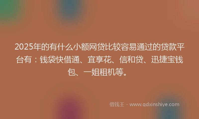 2025年的有什么小额网贷比较容易通过的贷款平台有：钱袋快借通、宜享花、信和贷、迅捷宝钱包、一姐租机等。