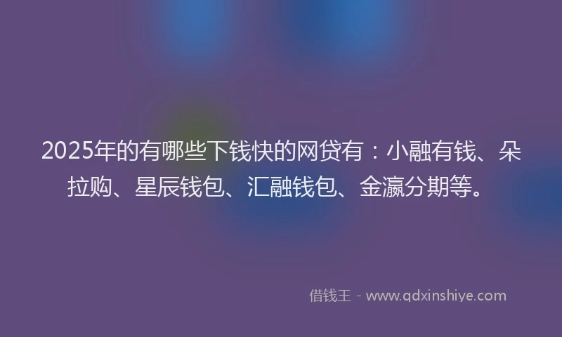 2025年的有哪些下钱快的网贷有：小融有钱、朵拉购、星辰钱包、汇融钱包、金瀛分期等。