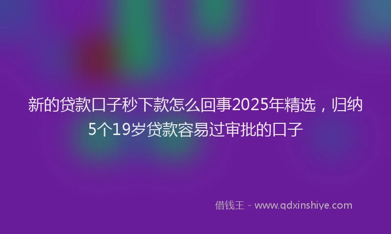新的贷款口子秒下款怎么回事2025年精选，归纳5个19岁贷款容易过审批的口子