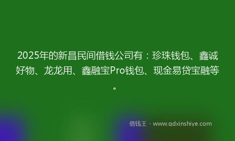 2025年的新昌民间借钱公司有：珍珠钱包、鑫诚好物、龙龙用、鑫融宝Pro钱包、现金易贷宝融等。