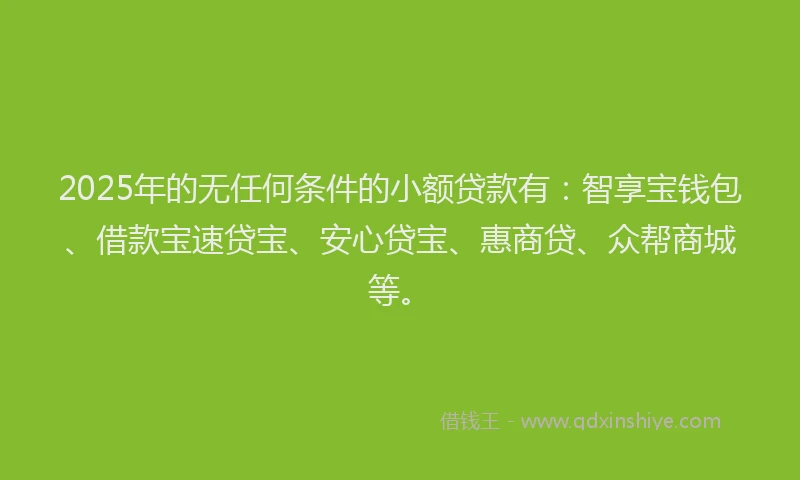 2025年的无任何条件的小额贷款有：智享宝钱包、借款宝速贷宝、安心贷宝、惠商贷、众帮商城等。