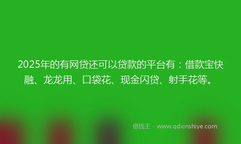 2025年的有网贷还可以贷款的平台有：借款宝快融、龙龙用、口袋花、现金闪贷、射手花等。