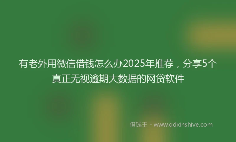 有老外用微信借钱怎么办2025年推荐，分享5个真正无视逾期大数据的网贷软件