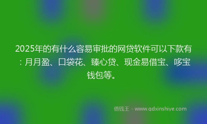 2025年的有什么容易审批的网贷软件可以下款有：月月盈、口袋花、臻心贷、现金易借宝、哆宝钱包等。