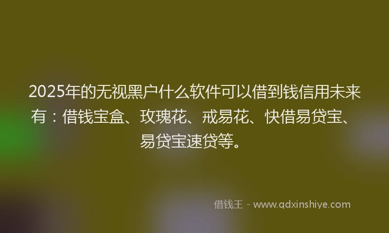 2025年的无视黑户什么软件可以借到钱信用未来有：借钱宝盒、玫瑰花、戒易花、快借易贷宝、易贷宝速贷等。