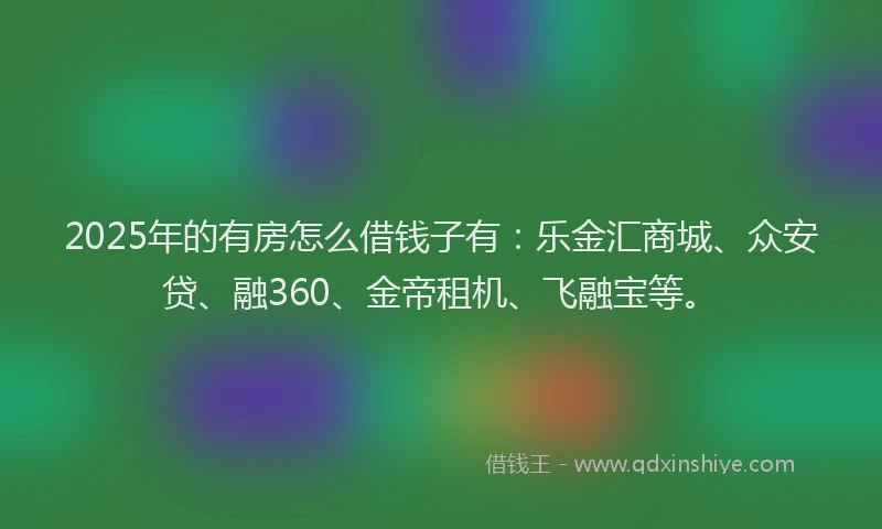 2025年的有房怎么借钱子有：乐金汇商城、众安贷、融360、金帝租机、飞融宝等。